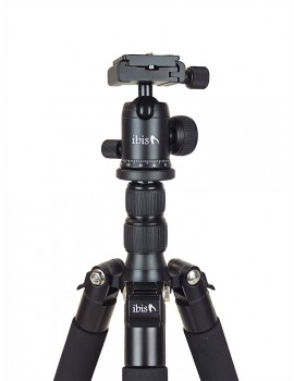 Treppiede in alluminio Ibis Bipod 