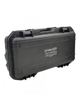 Powertank Batteria Tecnosky LiFeP04 12v 60ah