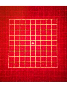 Howie Glatter Square Grid - modulo olografico quadrato