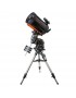 CGX C11 XLT