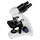 icon items